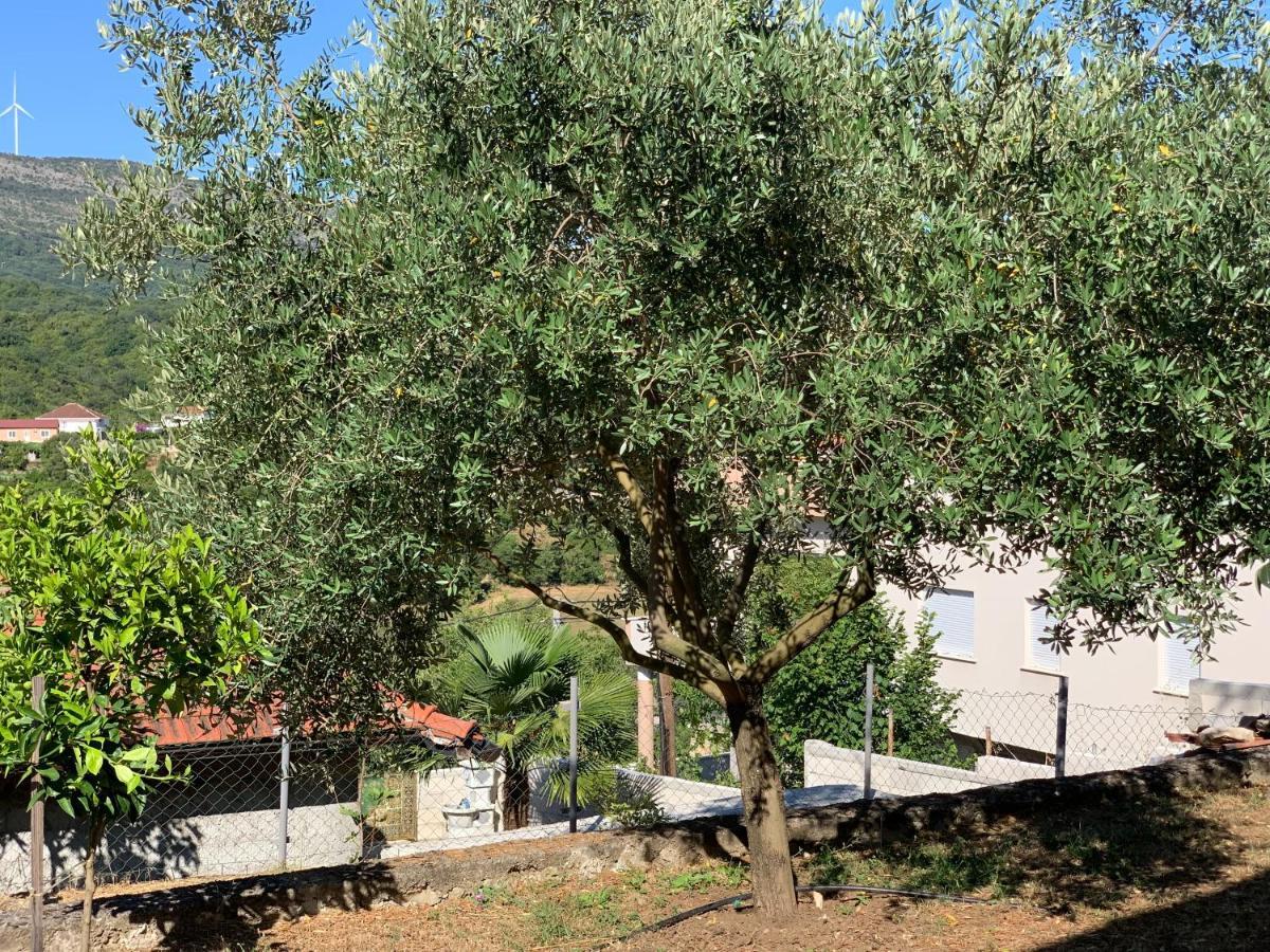 Holiday Home Bratica Ülgün Dış mekan fotoğraf